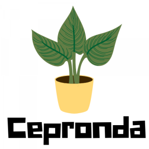(c) Cepronda.org